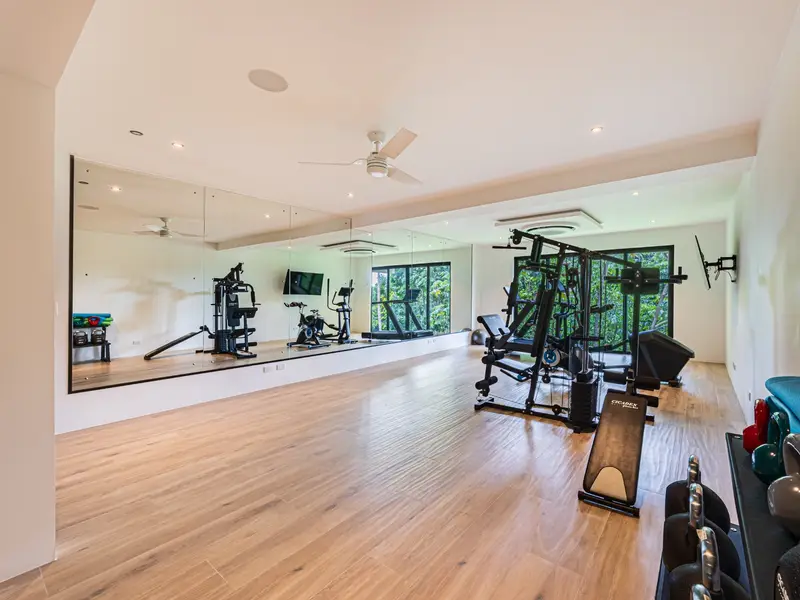 Gym with cardio and strength equipment facing the trees
