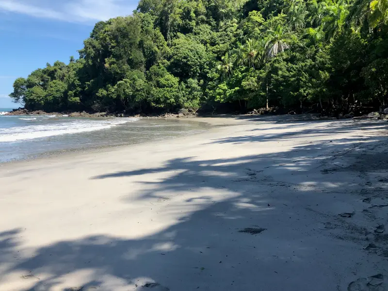 Empty white-sand beach curving into a jungle headland in the national park