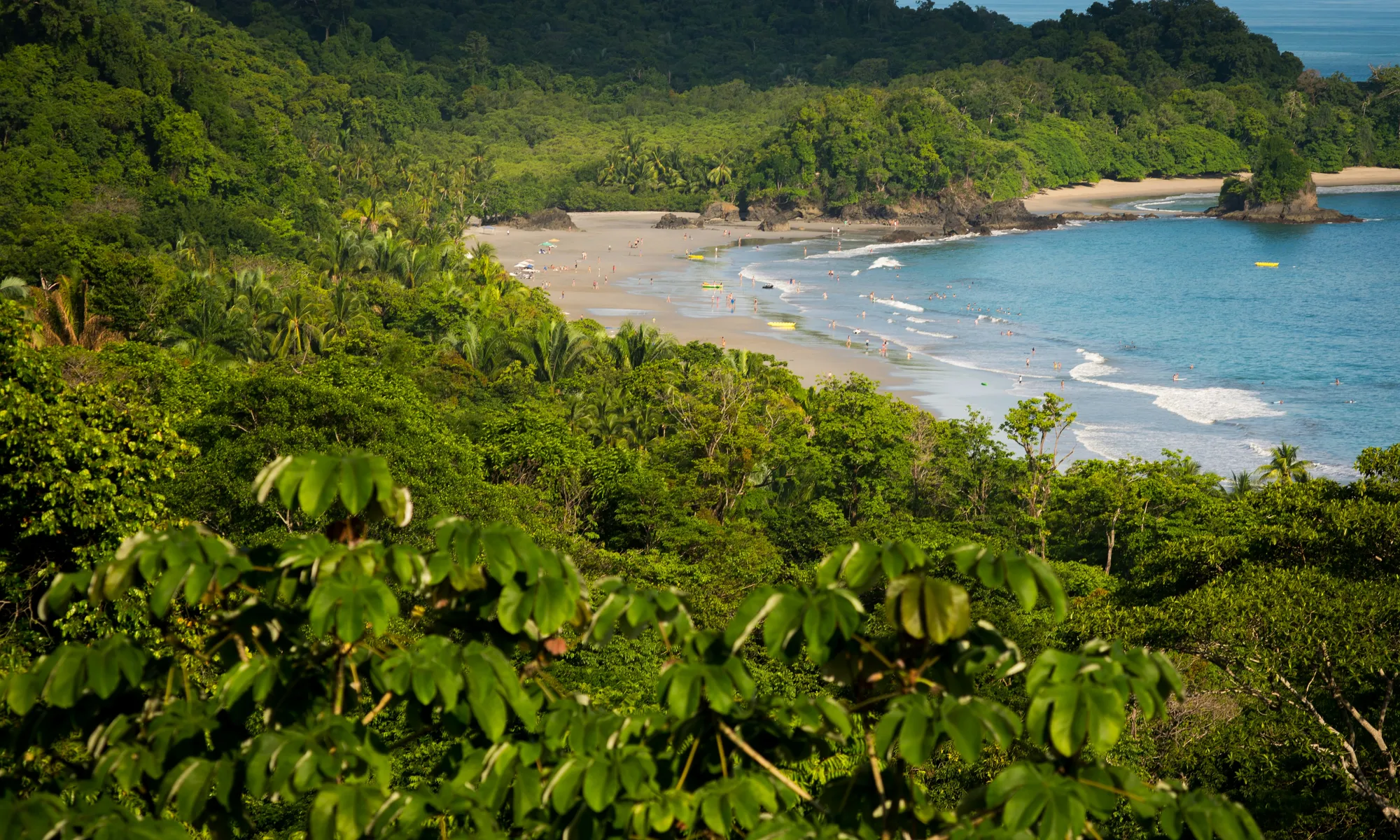 Best Time To Visit Manuel Antonio: Dry Season vs Green Season