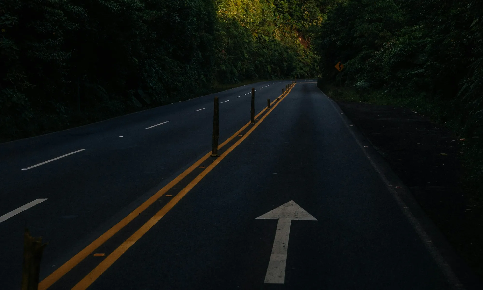 Getting to Manuel Antonio: San José, Quepos Airport, Private Transfers & Driving