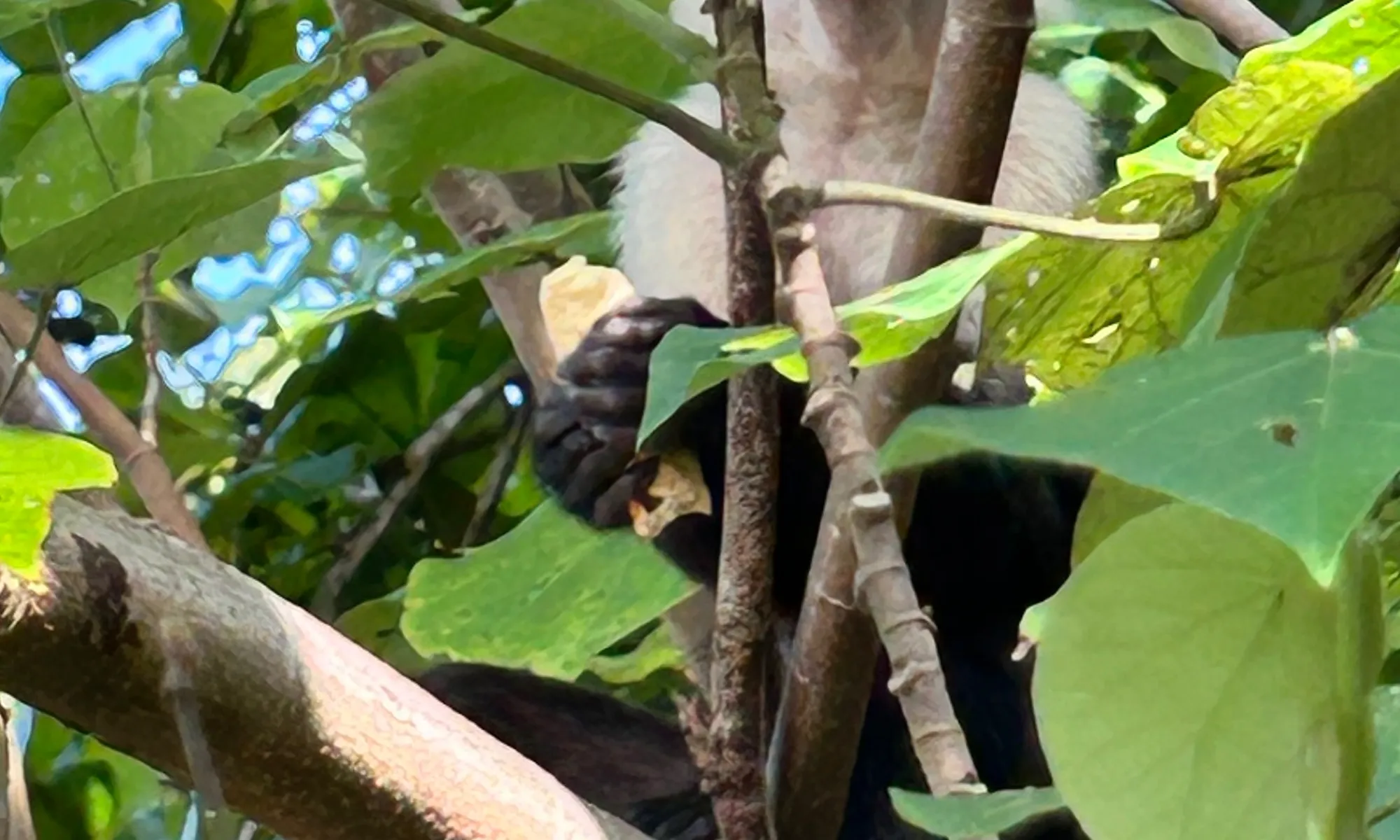 Manuel Antonio vs Guanacaste: Where To Stay in Costa Rica